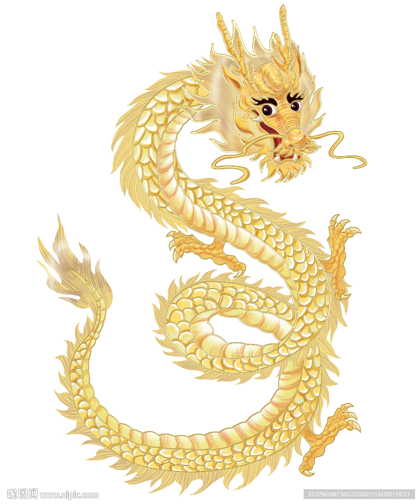 龙 插画