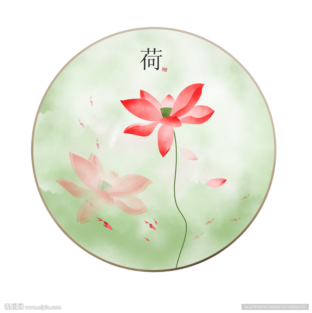 荷花
