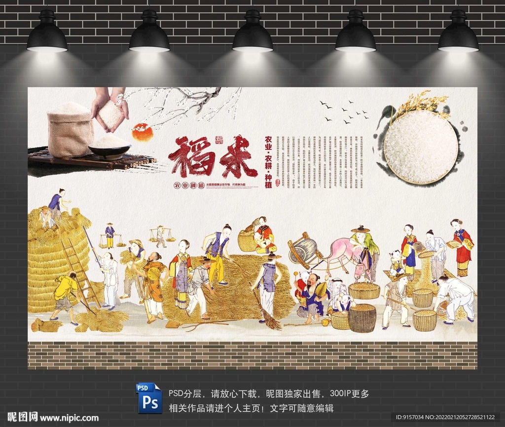 稻谷