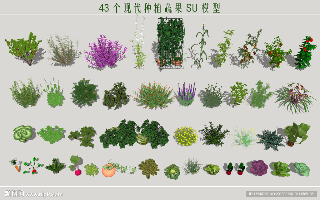 现代种植蔬菜