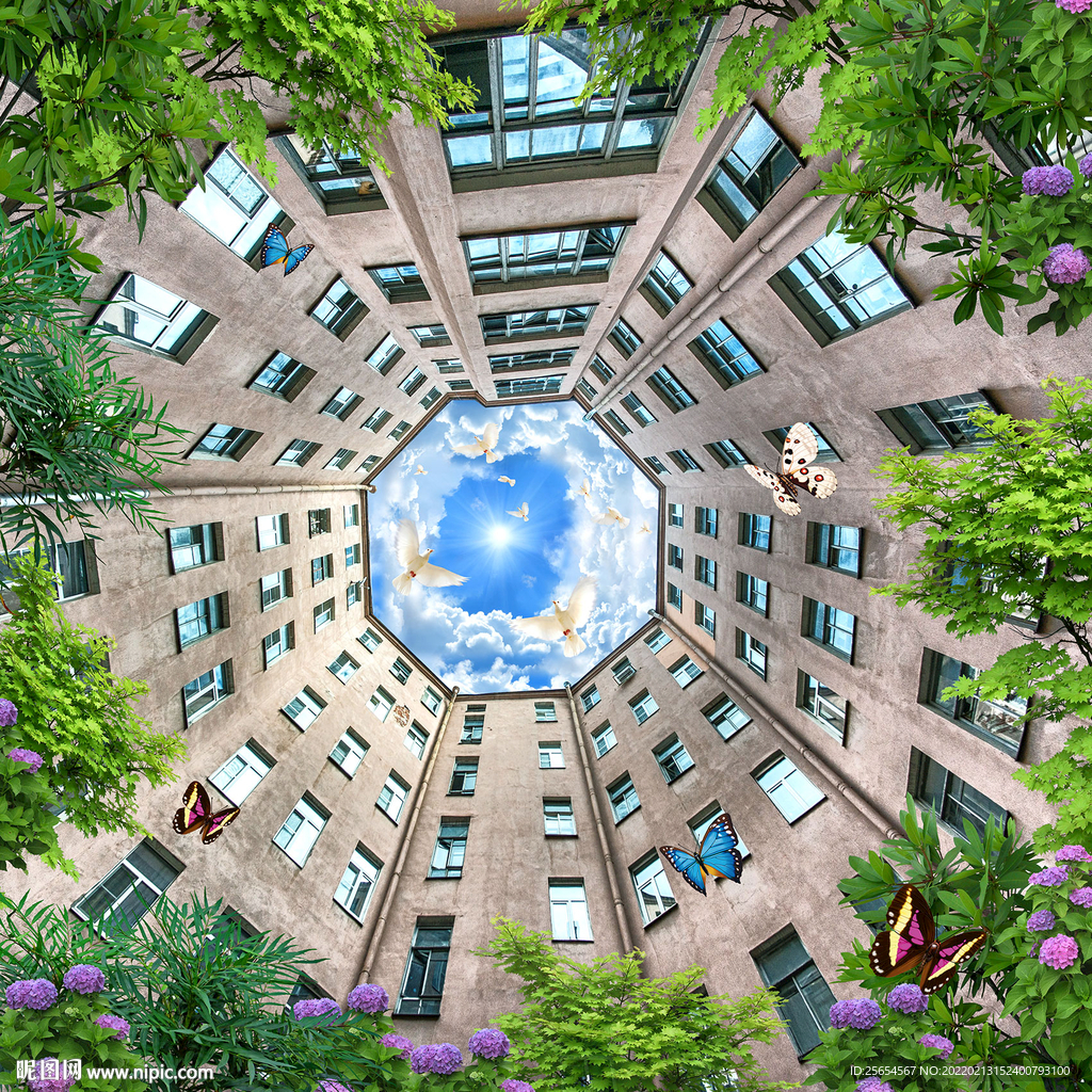 树林的天空天顶画