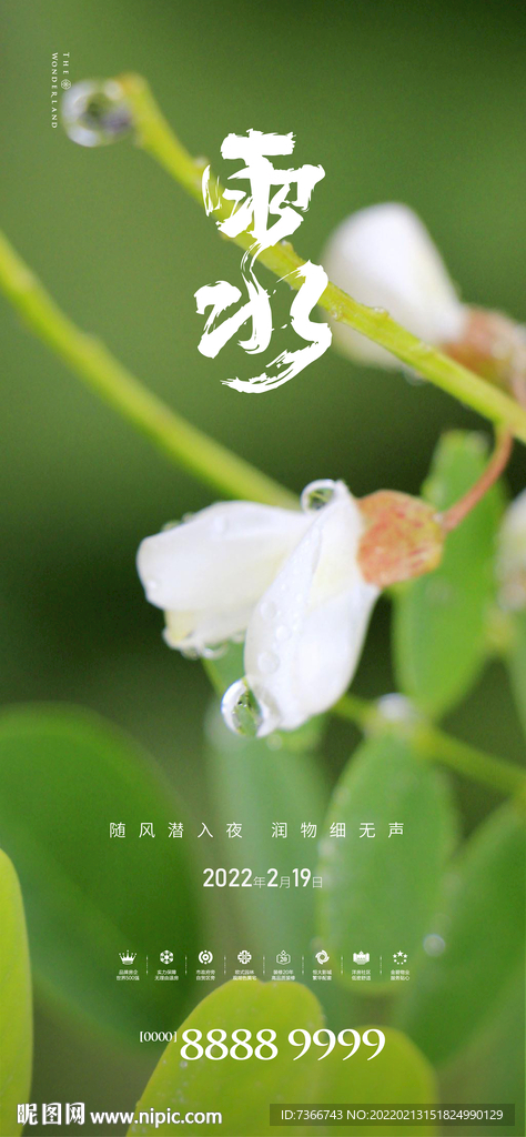 雨水 
