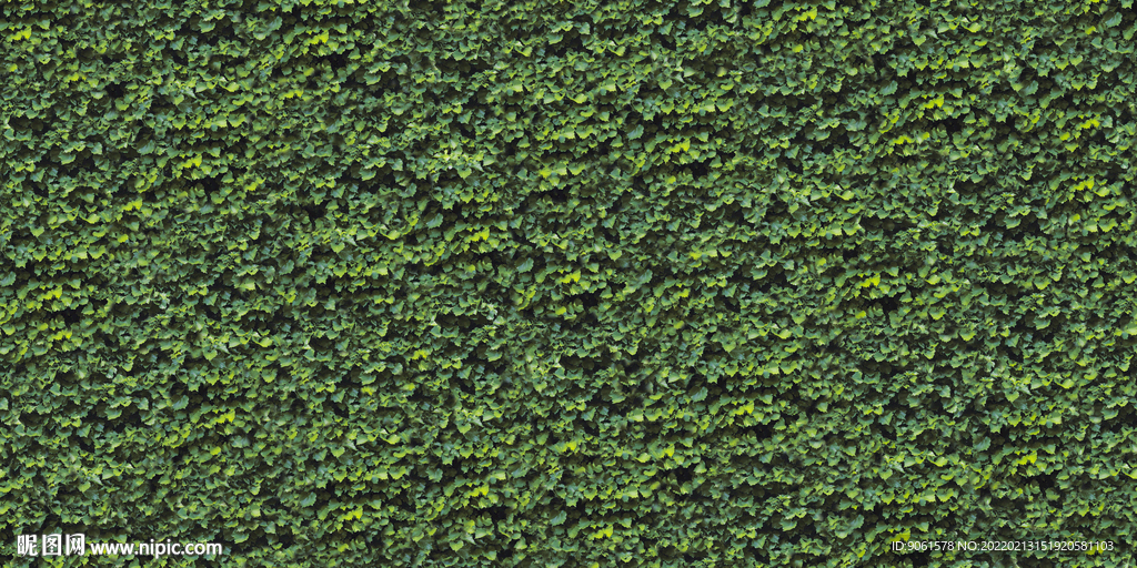 3D绿植背景墙