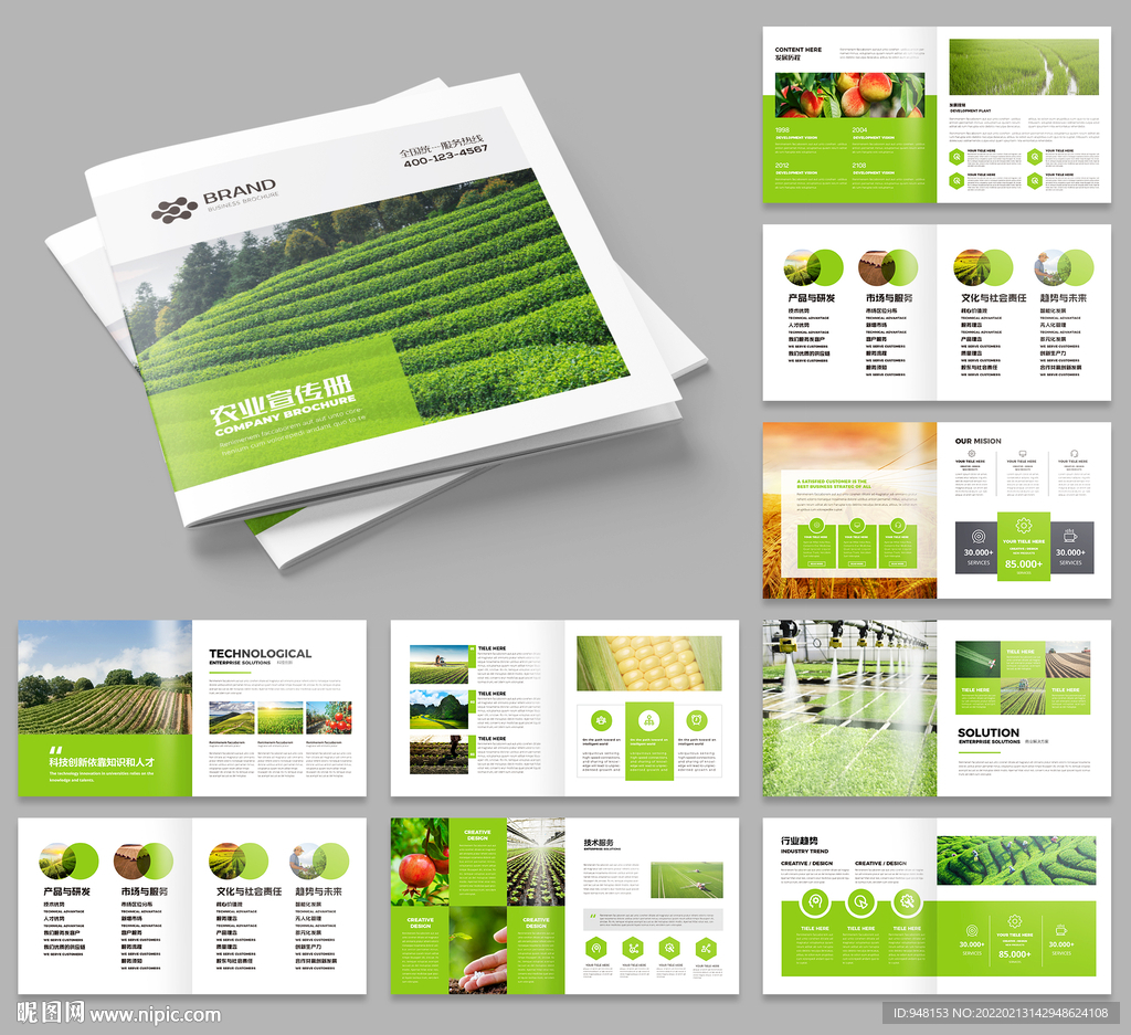 农作物画册