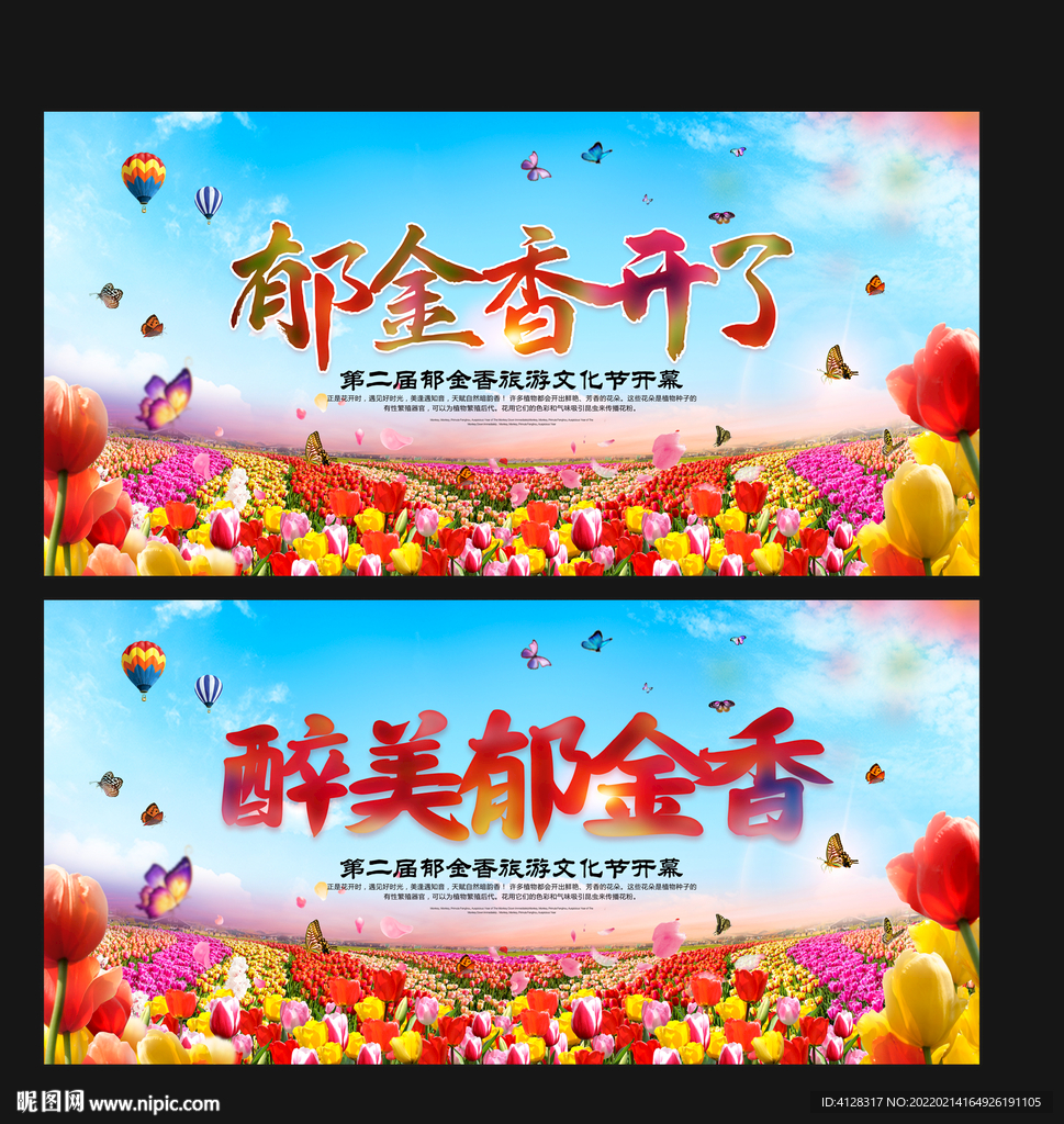  郁金香