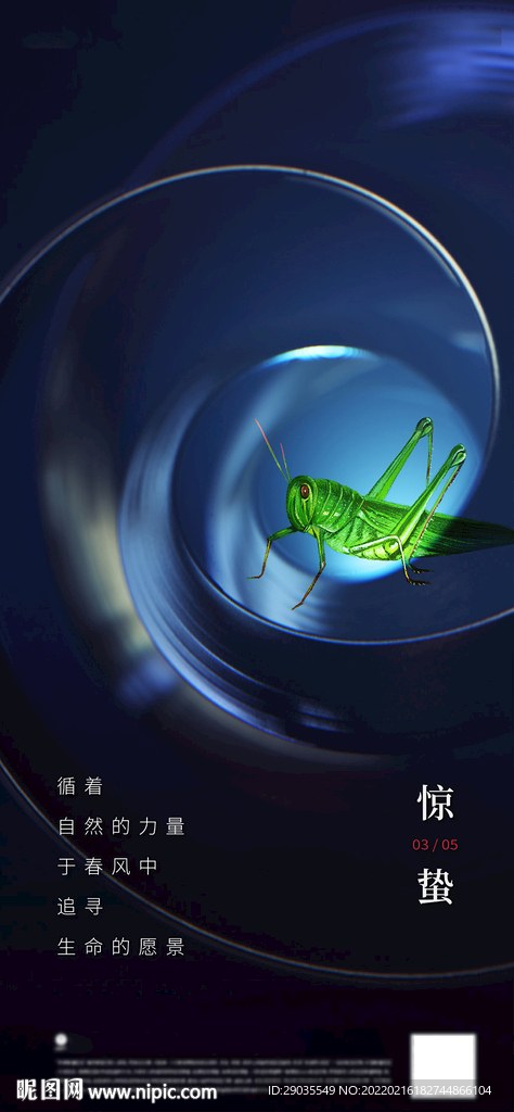 地产惊蛰二十四节气海报