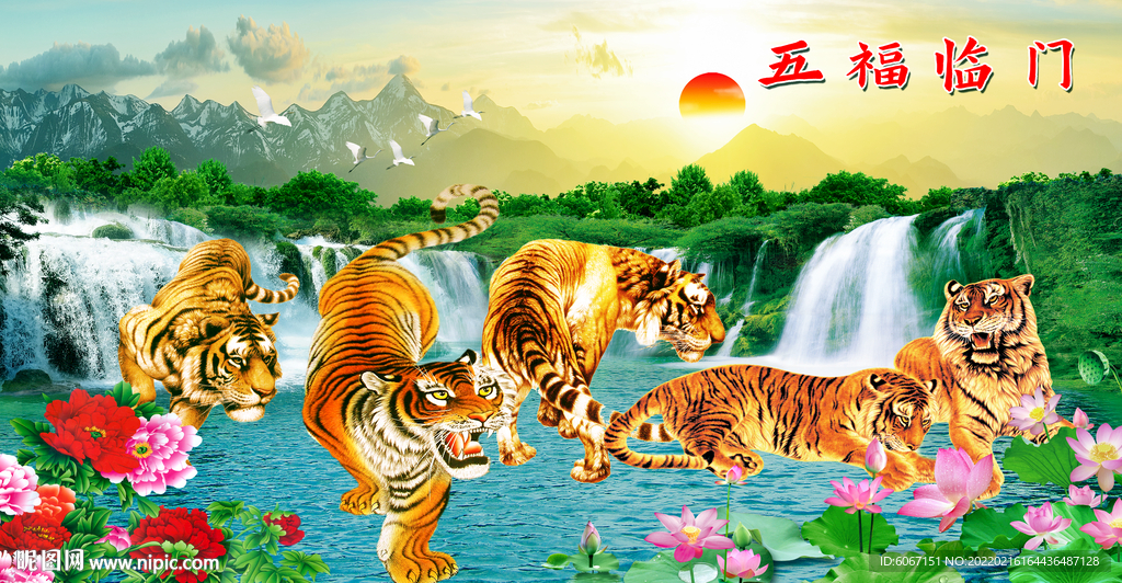 老虎图