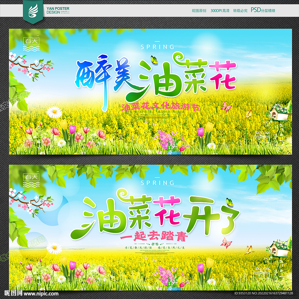 油菜花海报