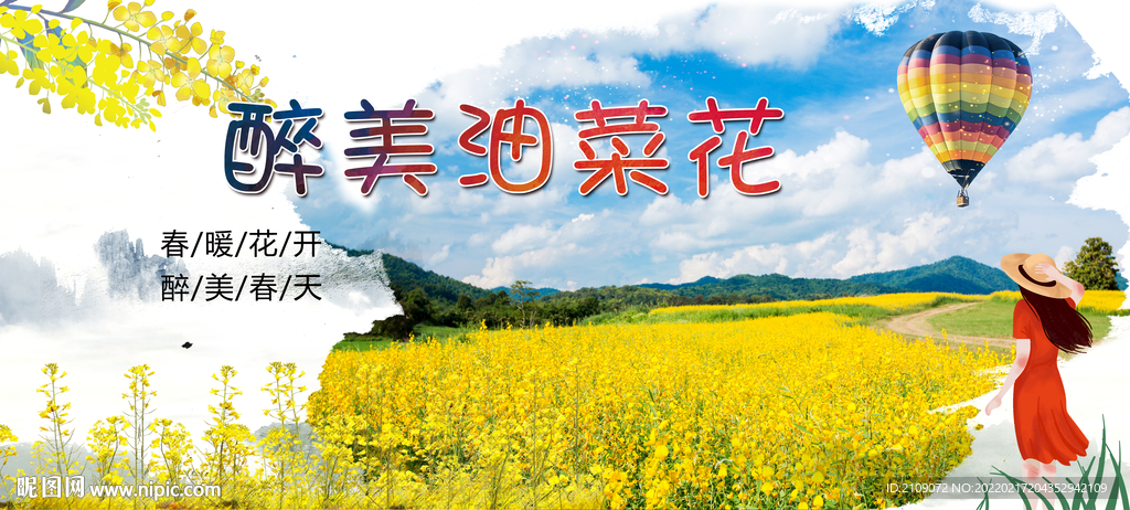 油菜花  