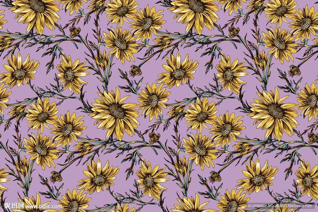 数码菊花