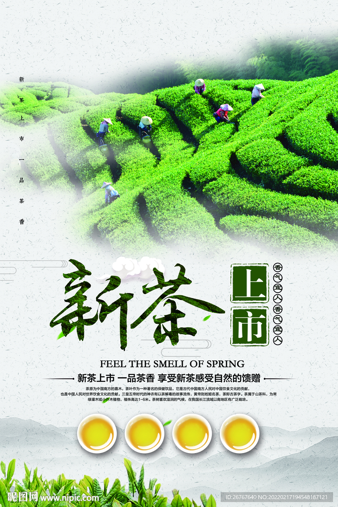 新茶上市 茶叶