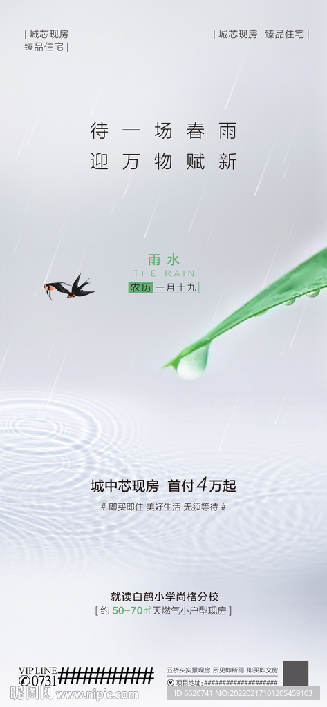 雨水