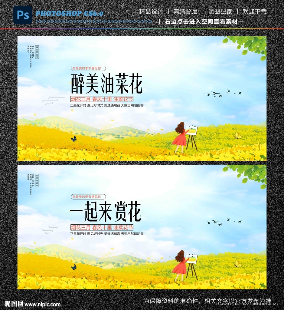 油菜花开