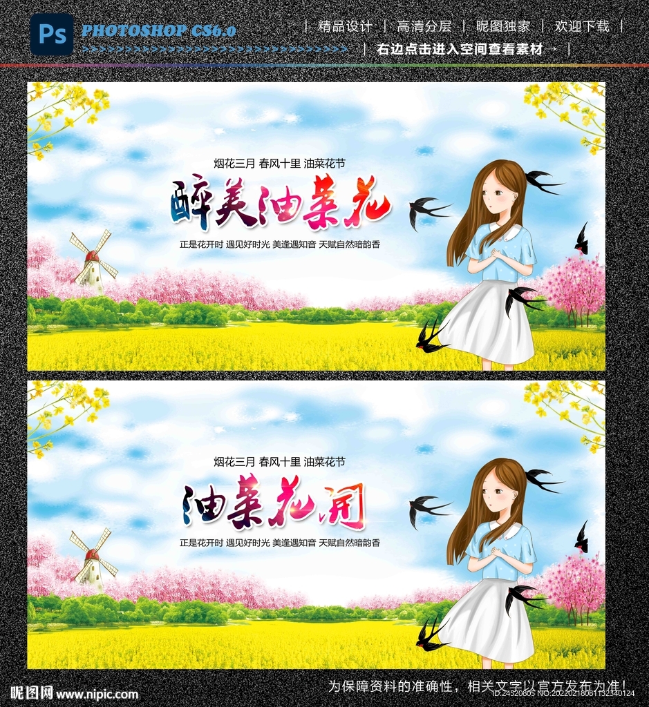 油菜花