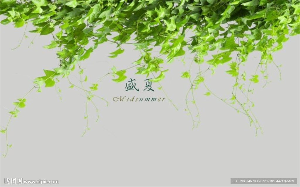 清凉盛夏图片