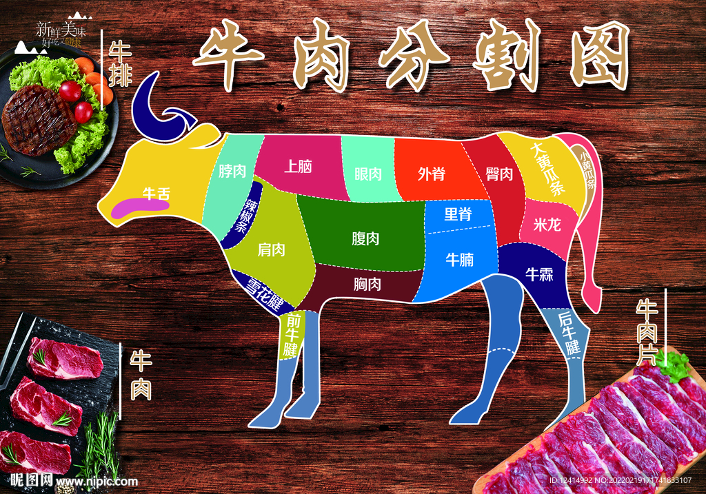 牛肉分割图  色块区分 分层