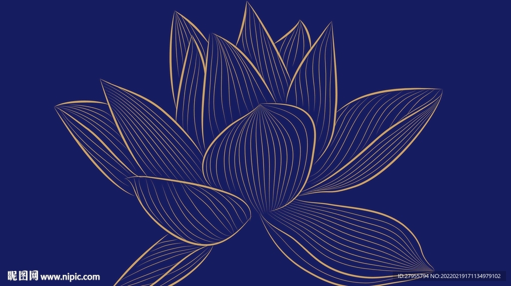 荷花矢量