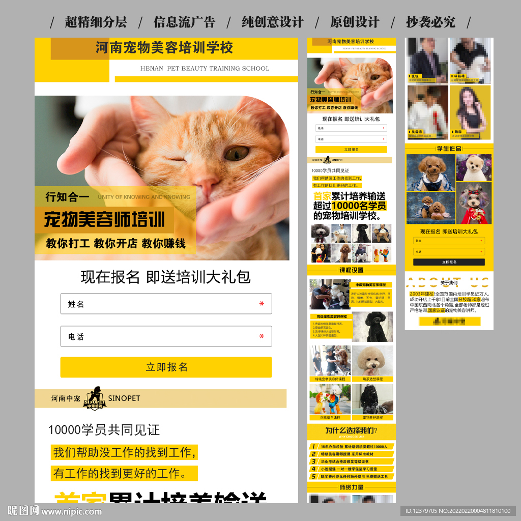 宠物美容师培训