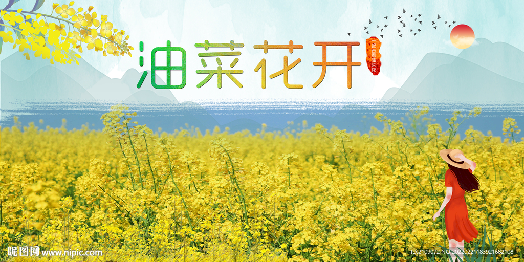 油菜花 