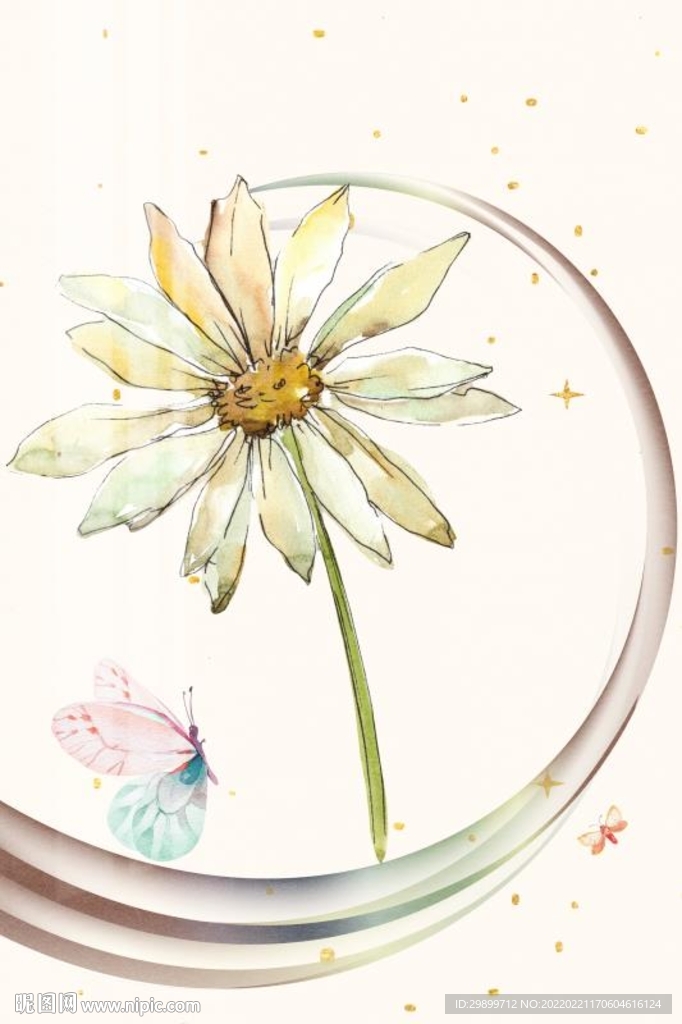小白菊