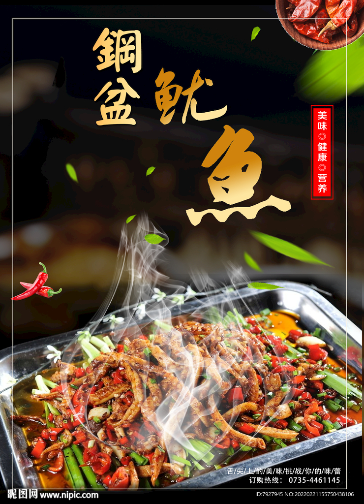 钢盆鱿鱼
