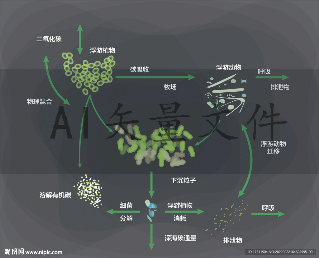 碳循环