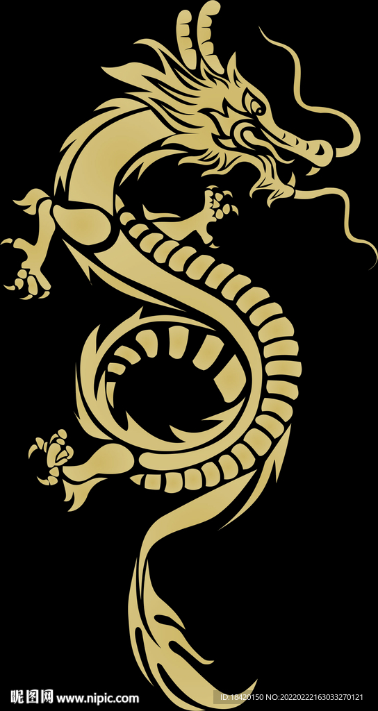 金龙战服