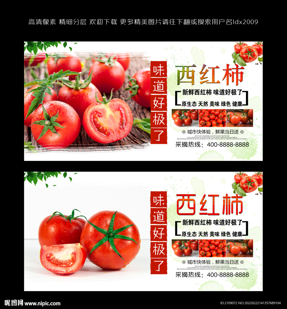 西红柿 