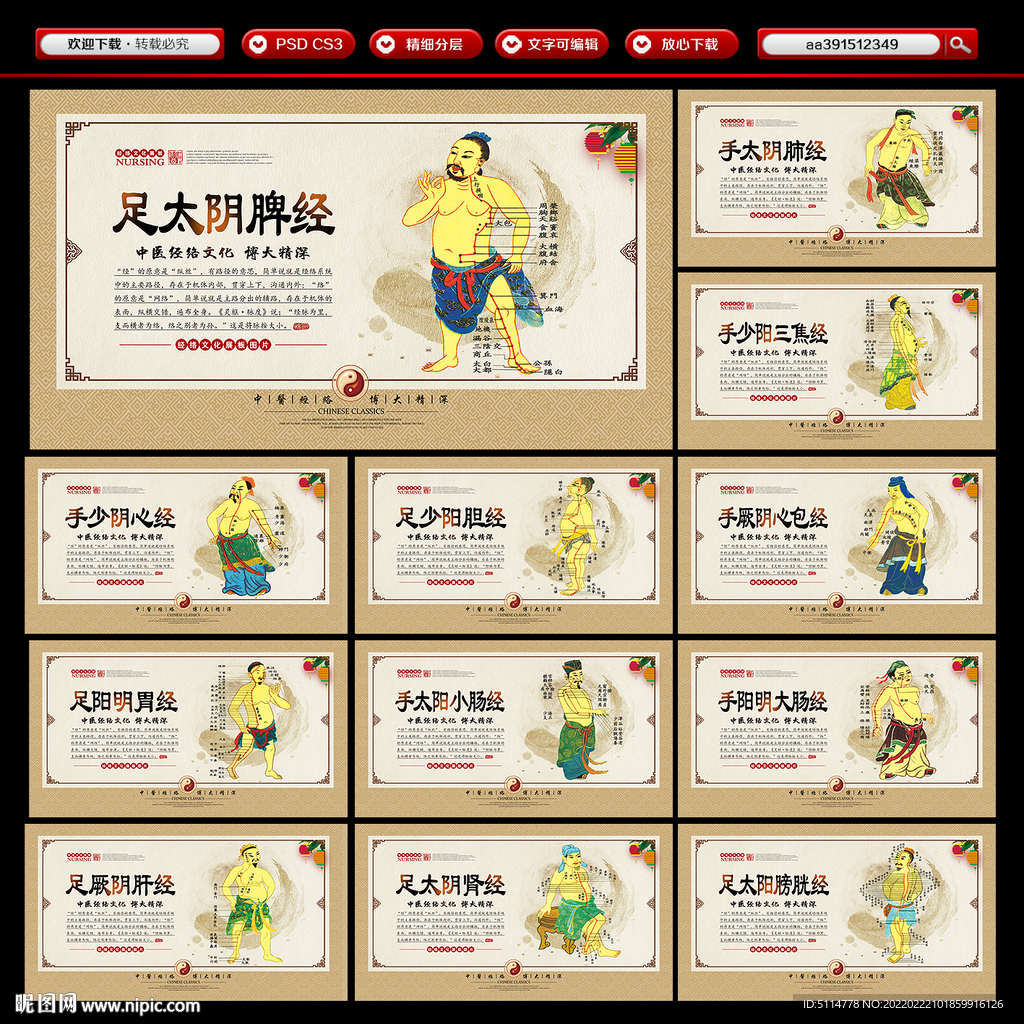 中医经络