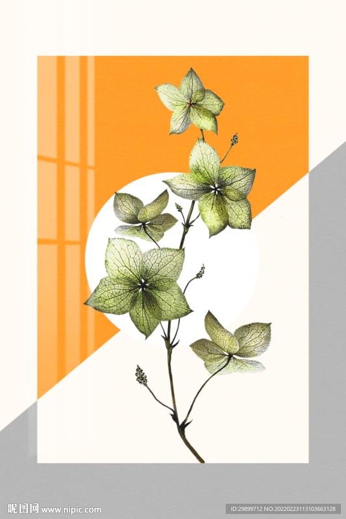 几何植物
