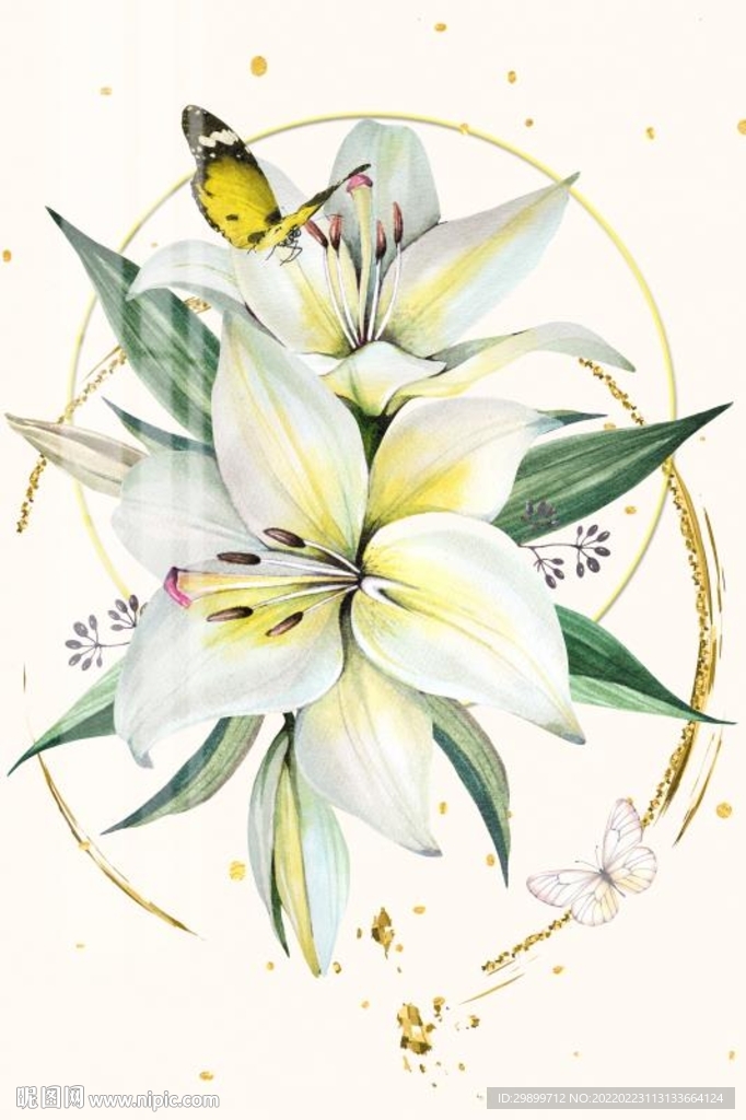 百合花