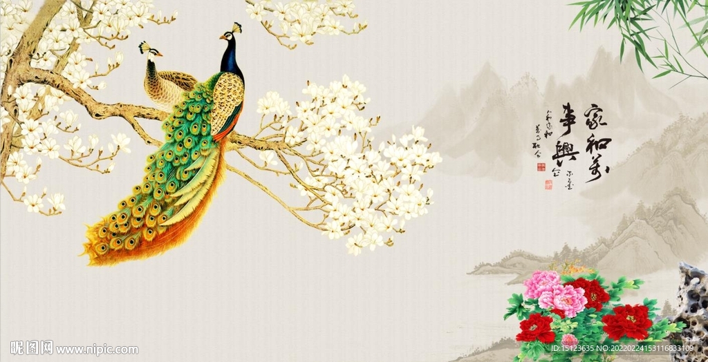 玉兰花