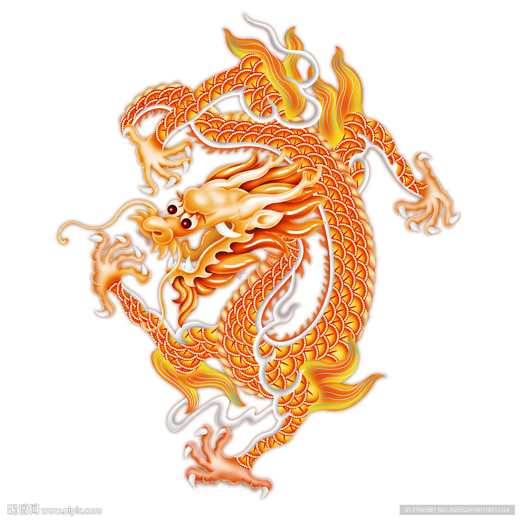 龙