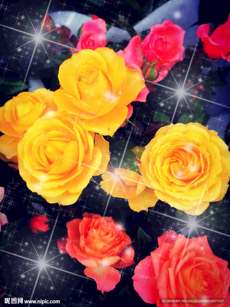 花朵星光背景  花朵背景