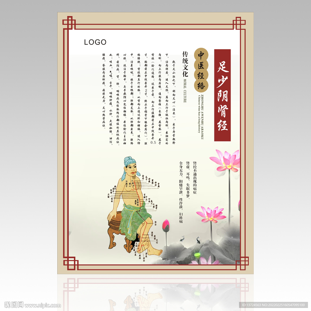 肾经挂图展板
