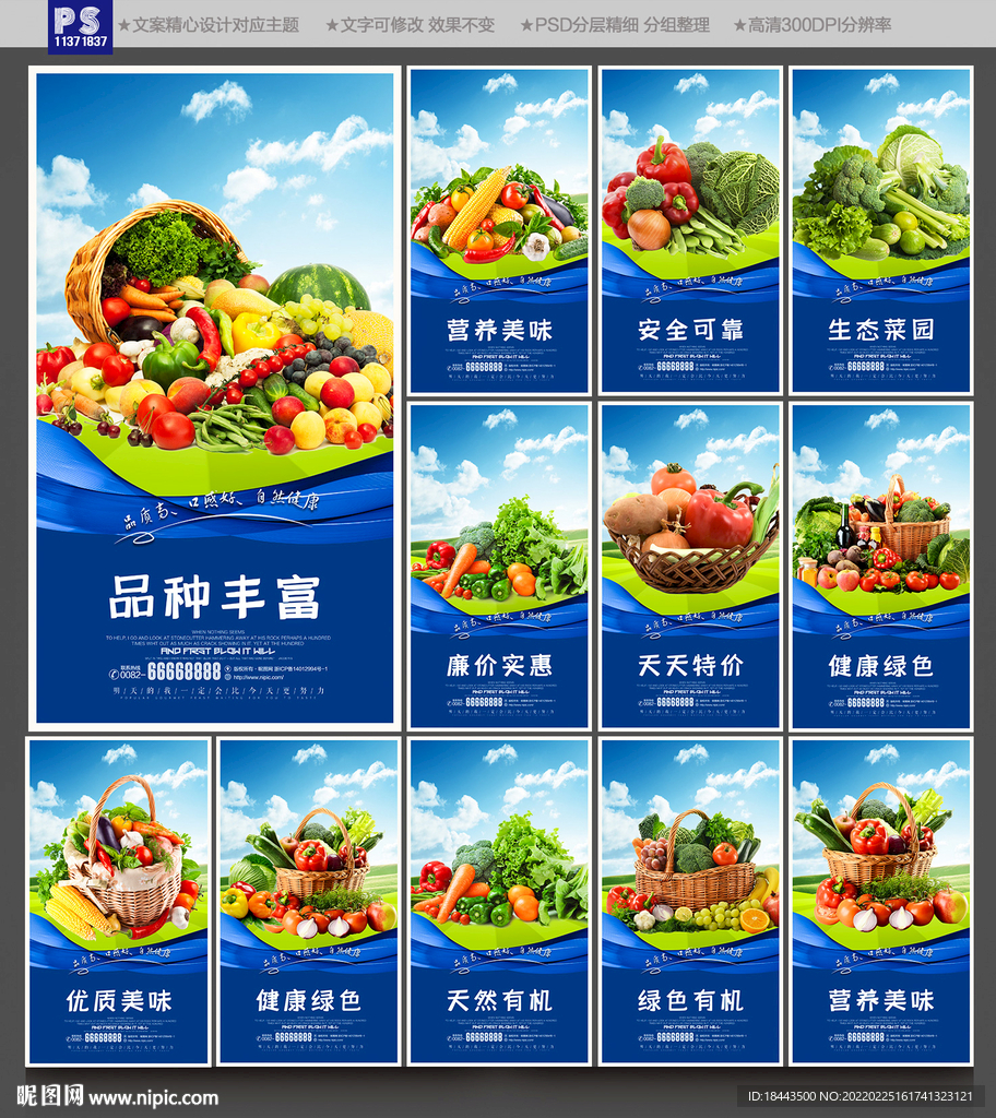 蔬菜