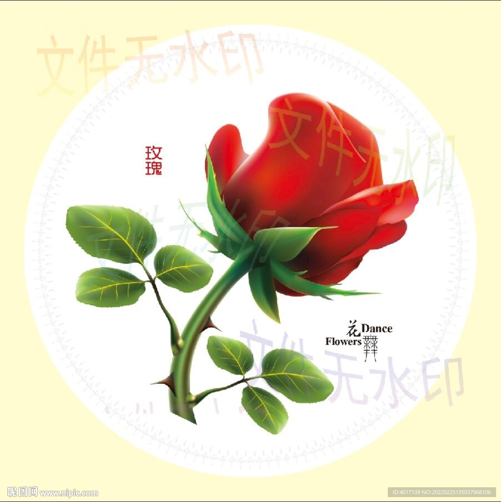 手绘玫瑰花