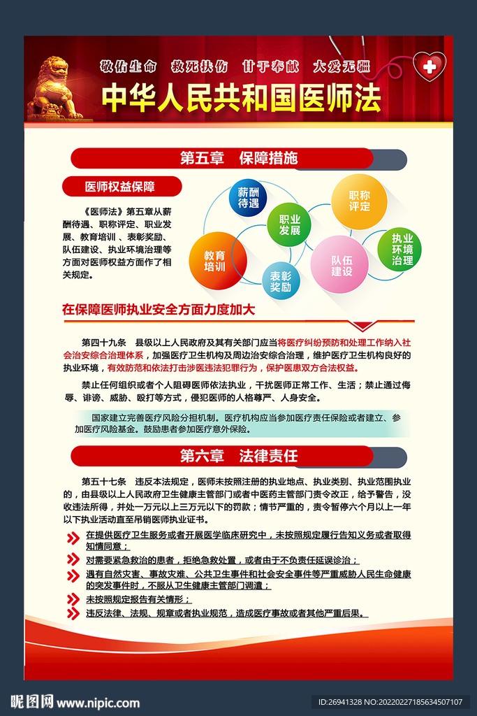 医师法挂图图片