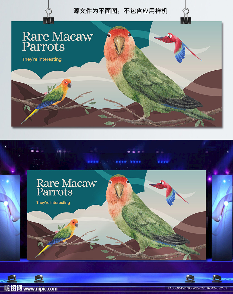 鸟插画展板图片