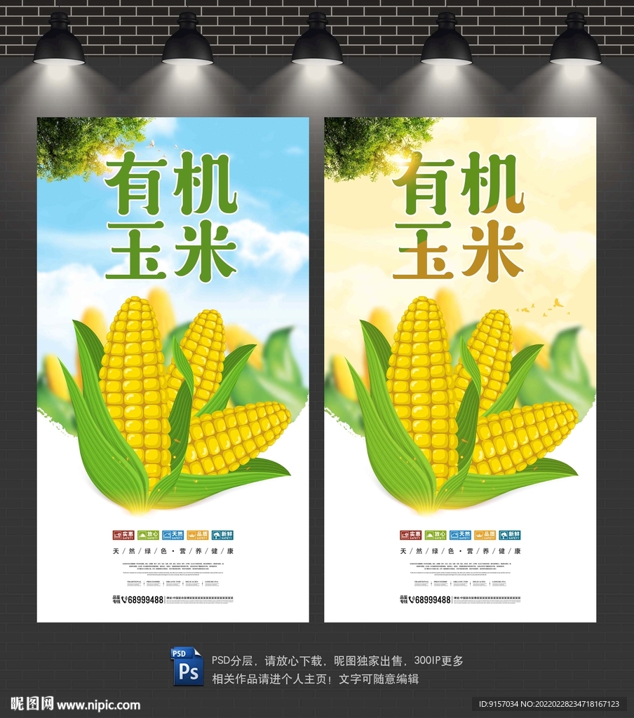 玉米