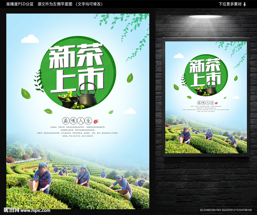新茶上市