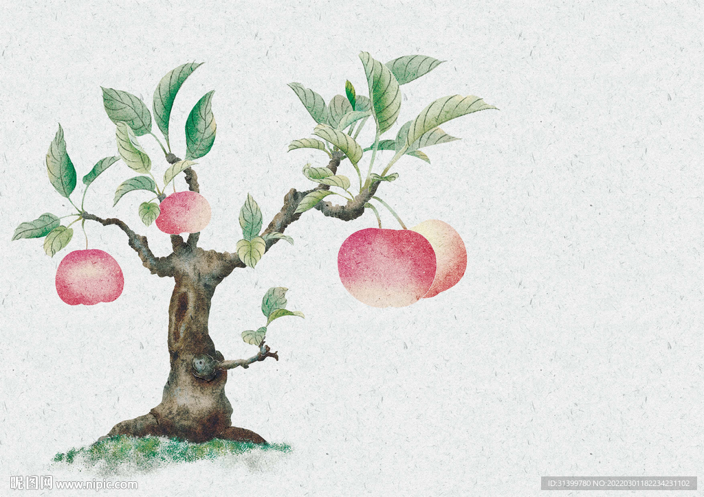 苹果树盆景插画花卉册页