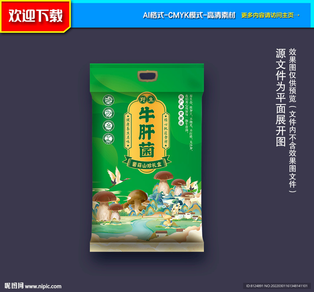 牛肝菌包装 山珍包装
