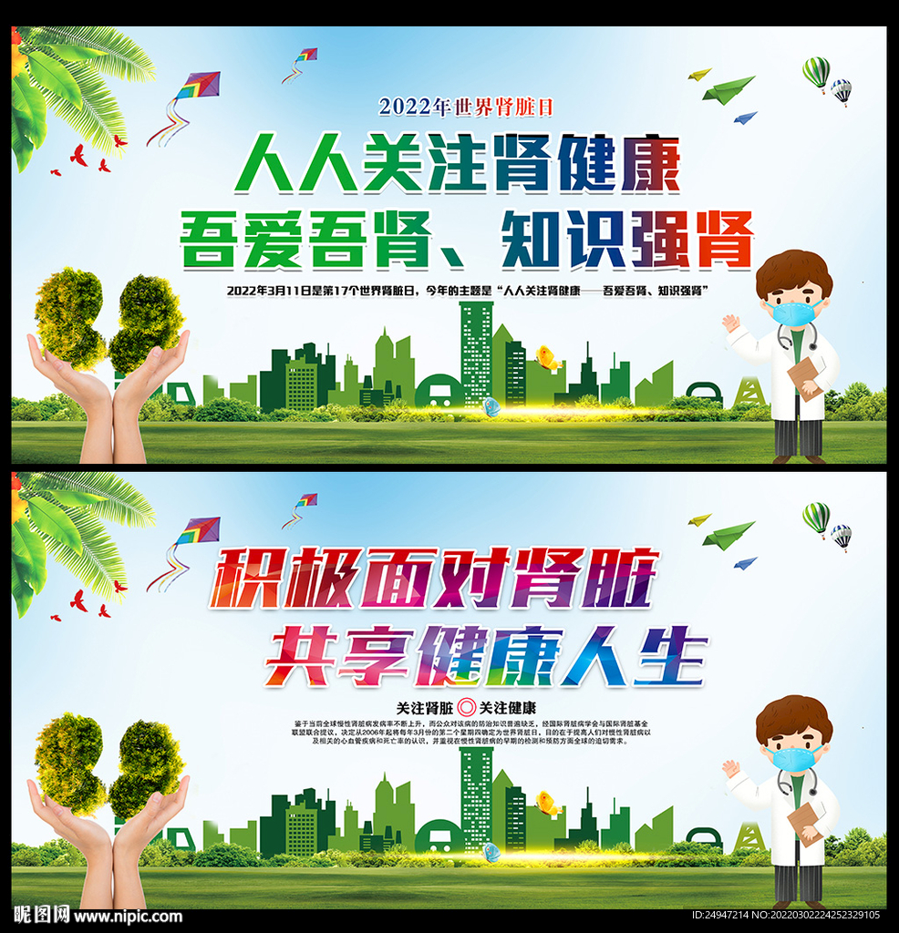 肾脏健康