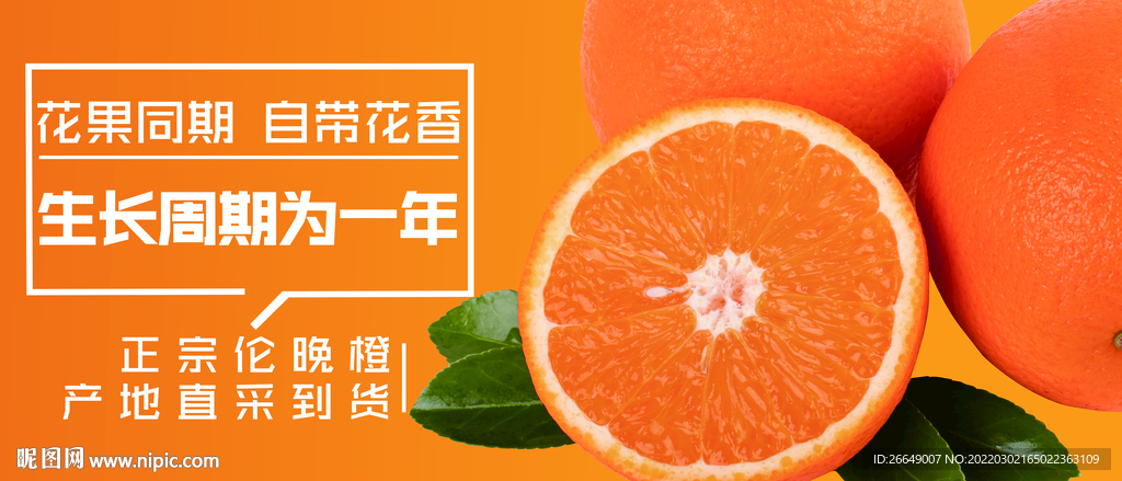 橙子海报