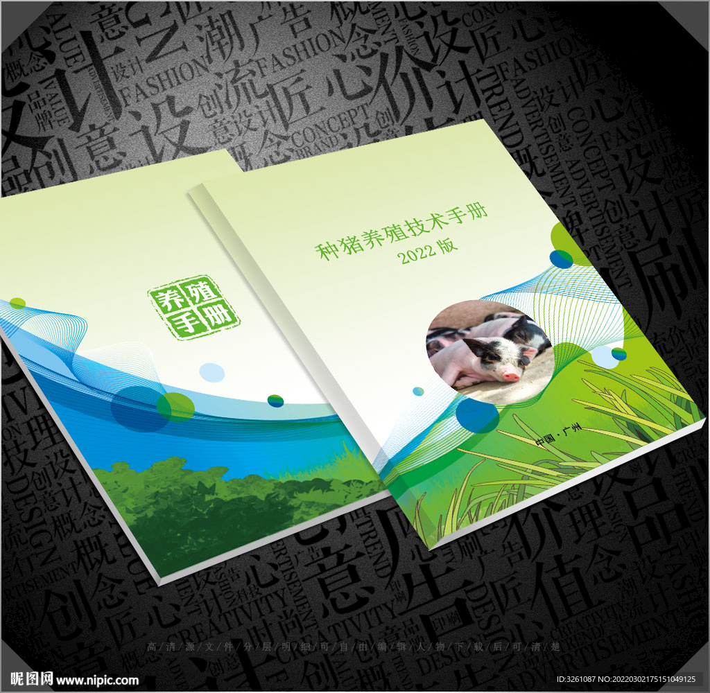 猪封面