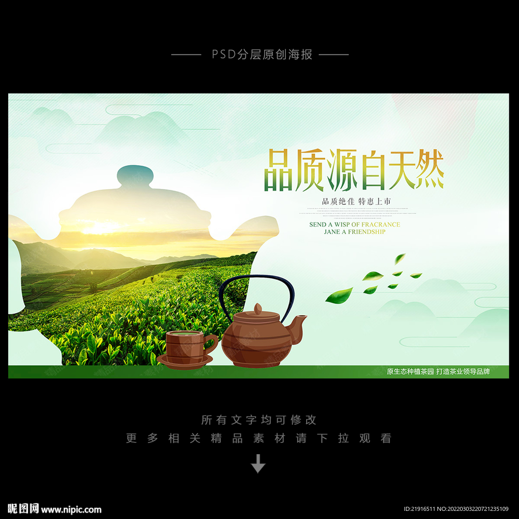 茶叶海报