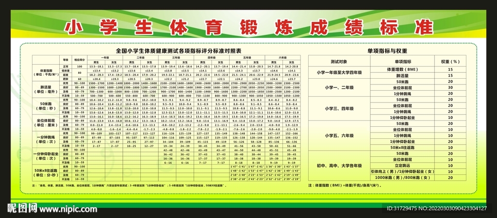 国家小学生体育锻炼成绩标准