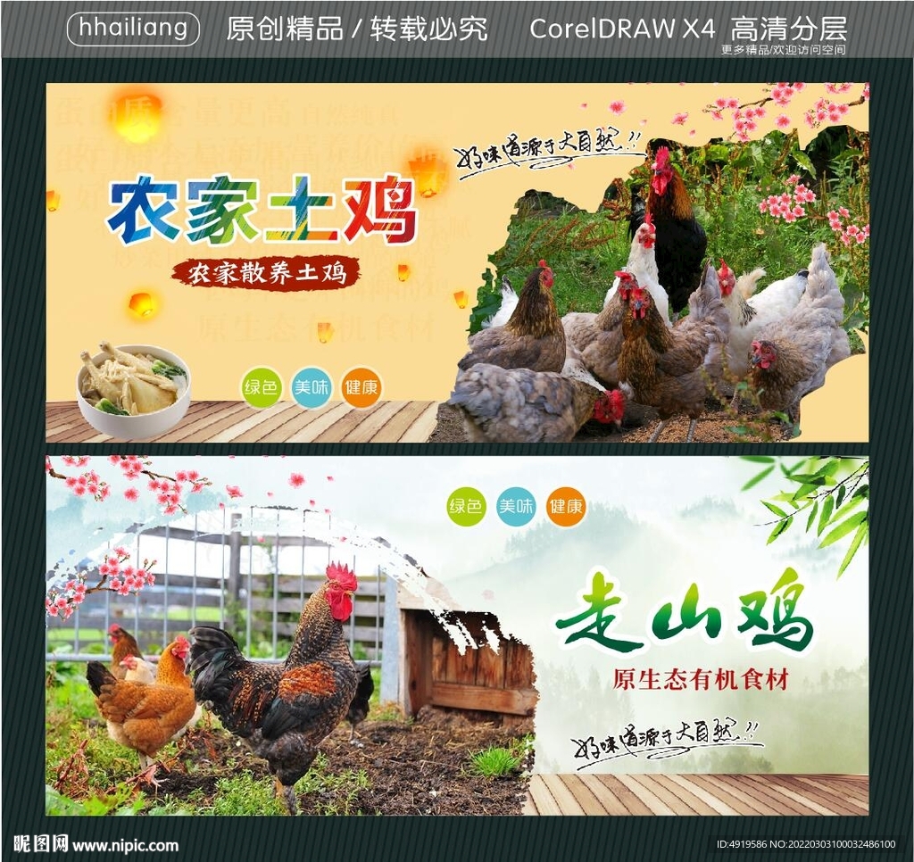 散奍鸡