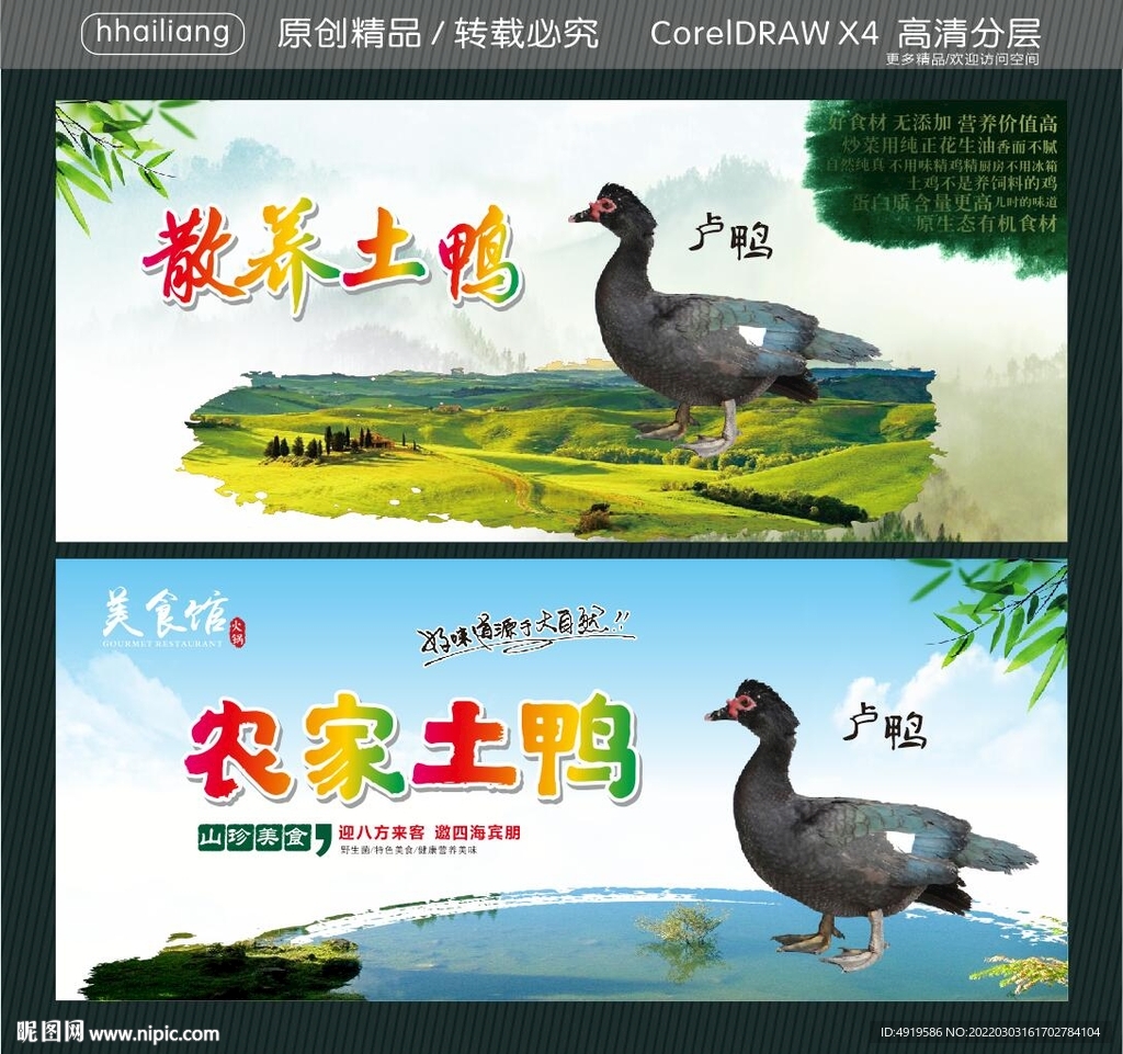 散养土鸭  农家土鸭